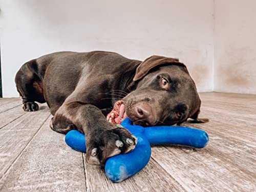 Tuff Pupper SuperChewer Tough Boomerang Toy | Lifetime Replacement | Strong Natural Rubber | Great Dog Fetch Toy | Toys for Dogs | Ultra Durable Chew Toys for Aggressive Chewers | for Large Breeds - size: Large