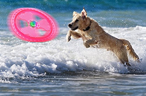 Flying Disc Dog Sport Toy with Flashing LED Lights, Light Up Pet Disk for Ultimate Night Time Play, Blue - color: Blue