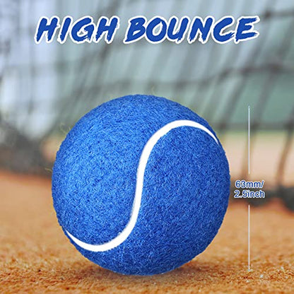 Vinsot 24 Pack Tennis Balls Bulk, Standard Pressure Balls for Training Playing Player Beginner Youth, Exercise Ball for Pet Dog, 2.5 Inch(Blue) - color: Blue