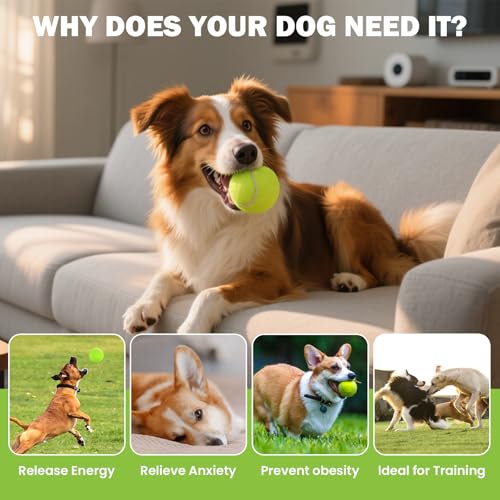 FURWEY Tennis Balls, 12/24/36/80 Pack Bulk Tennis Balls Pressureless Tennis Ball, Come with Mesh Bag for Easy Transport,Pet Dog Playing Balls, Good for Beginner Training Ball - size: 24P