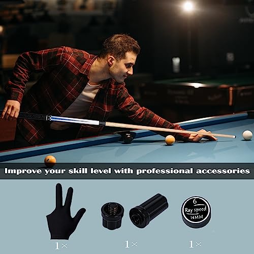 Pool Cue Stick with Hard Case Hardwood Canadian Maple Professional Billiard Pool Stick 58" 2-Pieces 19/20oz Pool Stick Set - color: CGB-600, size: 19 oz