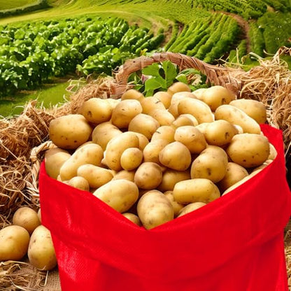 10Pcs Colorful Potato Sack Race Bags, Reusable Vegetable Storage Bags for Potato Tomato Onion Bean Storage - style: 10pcs