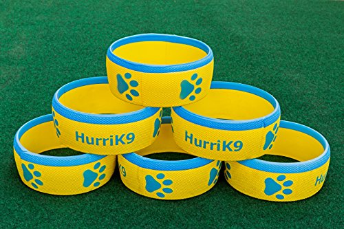 HurriK9 Replacement Dog Exerciser Rings for 100-ft. Flying Ring Launcher | Replacement Rings Only (Launcher Not Included) | Set of 6
