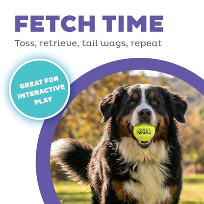 Outward Hound FlyFetch Launch-A-Ball Dog Toy, Launches Up to 3X Farther, Works with FlyFetch Squeaker Ballz & Rubber Balls, 15.5", Medium - color: Ball Launcher Blue