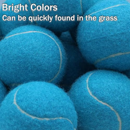 SHYUJAJIE Tennis Balls, 6 Pack Training Tennis Balls,High Elasticity Practice Balls for Beginner, Playing Balls for Dogs - color: Blue