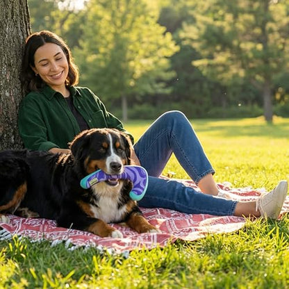Outward Hound FlyFetch Boomerang Dog Toy, Lightweight Foam Core, Rubber Rim, Floats in Water, All Breeds, 11" - color: Boomerang Purple