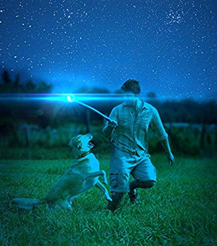 Chuckit! Glow in the Dark Bouncy Balls - Ball for Dogs, Chuckit Dog Toy, Max Glow Balls - Small, 2 Inch, Pack of 1 - size: Small