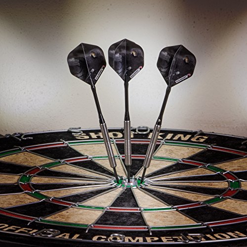 Elkadart Wizard 80% Tungsten Steel Tip Darts with Storage/Travel Case - style: 20 Grams
