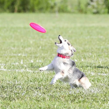 Hyperflite Pup Jawz Puncture Resistant Dog Flying Disc, Small Dogs | Puncture Resistant, Competition Approved | 7-inch, 90g | Small Dogs | Glow - color: Glow