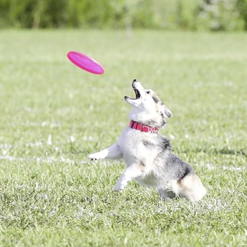 Hyperflite Pup Jawz Puncture Resistant Dog Flying Disc, Small Dogs | Puncture Resistant, Competition Approved | 7-inch, 90g | Small Dogs | Pink - color: Pink