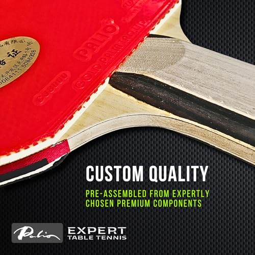 Palio - color: Grey Handle, Red/Black Rubbers
