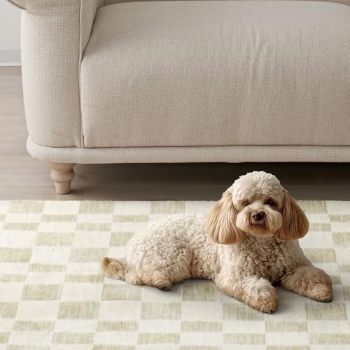 EVERGRACE Checkered Plaid Area Rug - Soft Faux Wool, 9x12, Washable, Anti Slip, Large, for Entryway, Bedroom, Living Room, Hallway, Kitchen, Dining Room and Laundry, Beige - color: Beige, size: 9' x 12' (Rectangular)