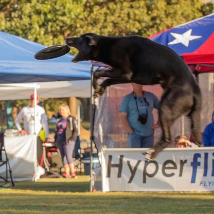 Hyperflite K-10 Jawz Puncture Resistant Dog Flying Disc, Medium-Large | Puncture Resistant, Competition Approved | 8.75-inch, 150g | Medium & Large Dogs | Black - color: Midnight (Black)
