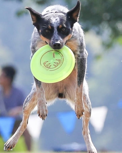 Hyperflite K-10 Jawz Puncture Resistant Dog Flying Disc, Medium-Large | Puncture Resistant, Competition Approved | 8.75-inch, 150g | Medium & Large Dogs | Glow - color: Glow