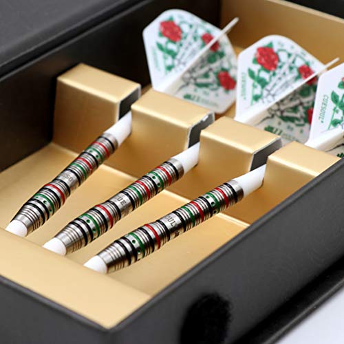 CUESOUL Soft Tip Darts Set Plastic Tip with Dart Case - color: 19g-Tungsten-Font Loaded Shape