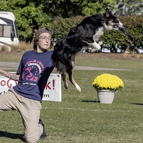 Hyperflite Pup Jawz Puncture Resistant Dog Flying Disc, Small Dogs | Puncture Resistant, Competition Approved | 7-inch, 90g | Small Dogs | Black - color: Black