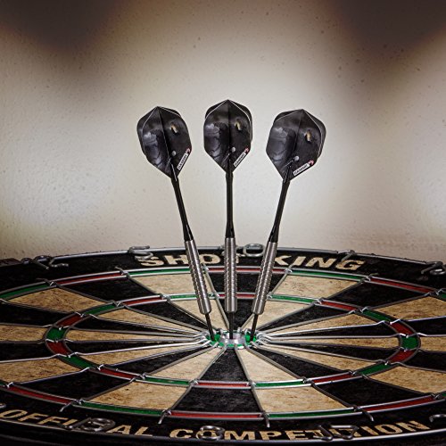 Elkadart Wizard 80% Tungsten Steel Tip Darts with Storage/Travel Case - style: 22 Grams