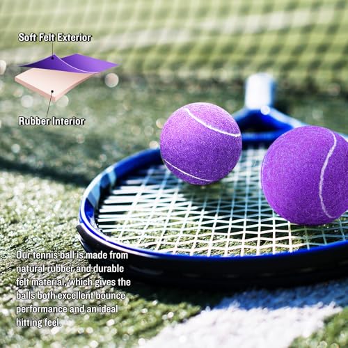 60/120 Pack Tennis Balls, Training Tennis Balls, Pet Dog Playing Balls, Practice Tennis Balls with Mesh Bag for Transport and Beginner Training - color: Purple-60Pack