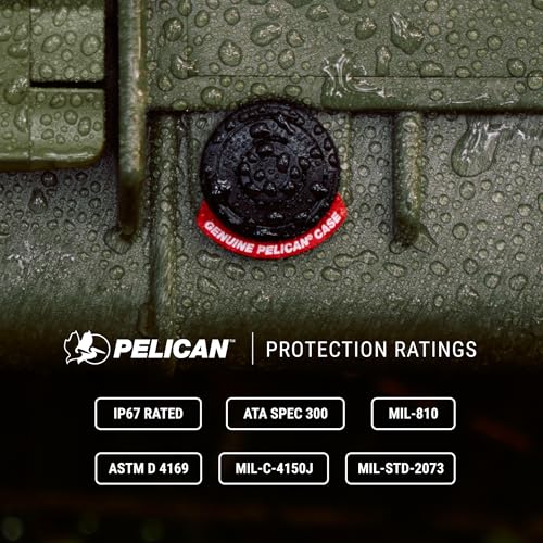 Pelican 1650 Case With Foam (Black) - color: Black, style: With Foam