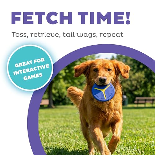 Outward Hound FlyFetch Disc Launcher Dog Toy, Launches Up to 3X Farther, Ergonomic Handle, Durable Rubber Disc, All Breeds - color: Disc Launcher Blue