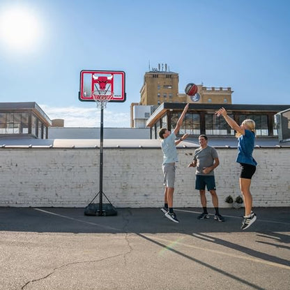 Lifetime NBA Chicago Bulls Portable Basketball Hoop, Adjustable Height 7.5-10 Ft, 44 Inch Shatterproof Fusion Backboard, Base with Wheels - color: Chicago Bulls