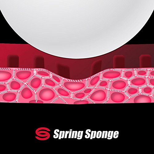Butterfly Viscaria Pro-Line Ping Pong Racket - Featuring Arylate/Carbon Material & Assembled with Tenergy 05 2.1mm Table Tennis Rubber - ITTF Approved for Tournament Play