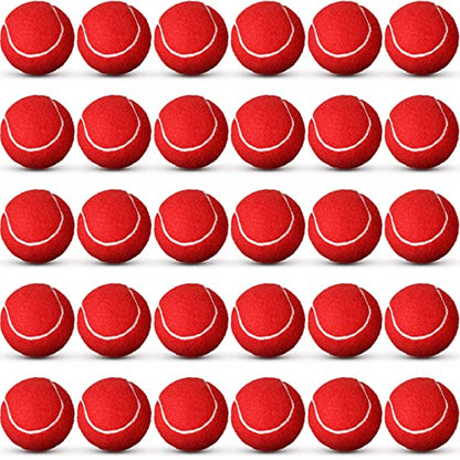 Vinsot 24 Pack Tennis Balls Bulk, Standard Pressure Balls for Training Playing Player Beginner Youth, Exercise Ball for Pet Dog, 2.5 Inch(Red) - color: Red