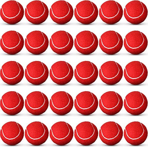 Vinsot 24 Pack Tennis Balls Bulk, Standard Pressure Balls for Training Playing Player Beginner Youth, Exercise Ball for Pet Dog, 2.5 Inch(Red) - color: Red
