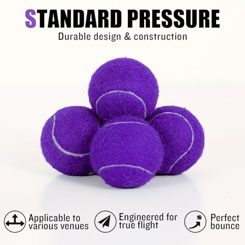60/120 Pack Tennis Balls, Training Tennis Balls, Pet Dog Playing Balls, Practice Tennis Balls with Mesh Bag for Transport and Beginner Training - color: Purple-60Pack