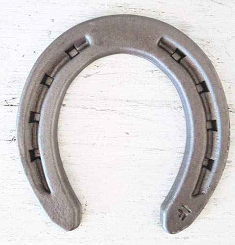 Steel Horseshoes Set for Horses, Crafts, Decorations and Backyard Games - Size 000 - R1-F - Sand Blasted 40 Shoes - size: Size 000 R1-F X-Small - 40 Shoes