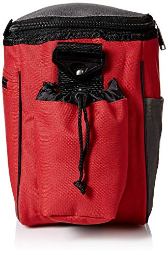 Innova Champion Discs Standard Disc Golf Bag - color: Red/Gray
