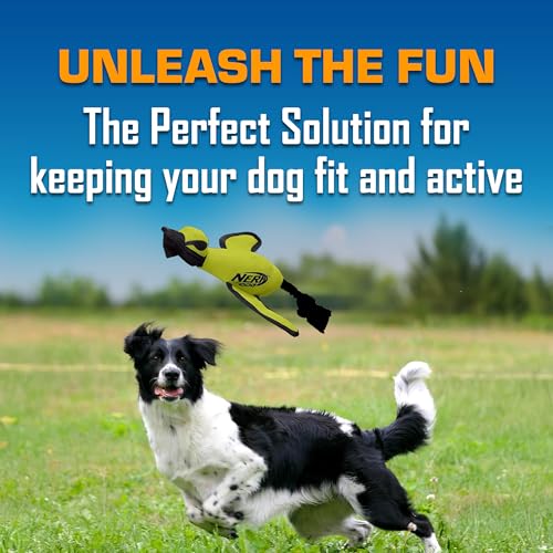 Nerf Dog Trackshot Launching Duck Dog Toy, 16.5 Dog Fetch Toy for Medium and Large Breeds, Green - color: Green