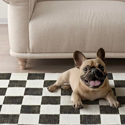 EVERGRACE Checkered Plaid Area Rug 5x7, Soft Faux Wool Rugs Washable Anti Slip Rugs Large Rug Carpet for Entryway Bedroom Living Room Hallway Kitchen Dining Room and Laundry Room, Black - color: Black, size: 5' x 7' (Rectangular)