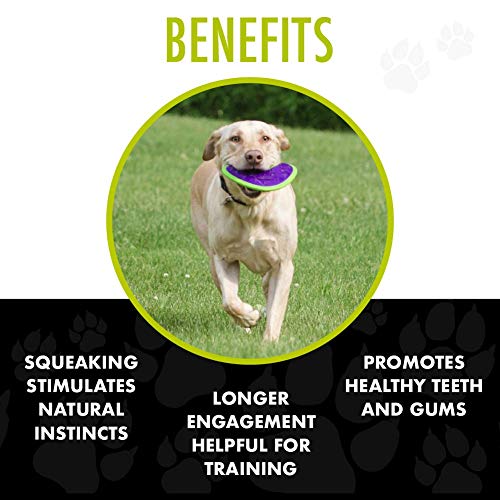 Hero Outer Armor, Fetch Dog Toy, Floats & Squeaks - style: Propeller - Purple