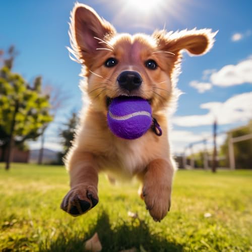 60/120 Pack Tennis Balls, Training Tennis Balls, Pet Dog Playing Balls, Practice Tennis Balls with Mesh Bag for Transport and Beginner Training - color: Purple-60Pack