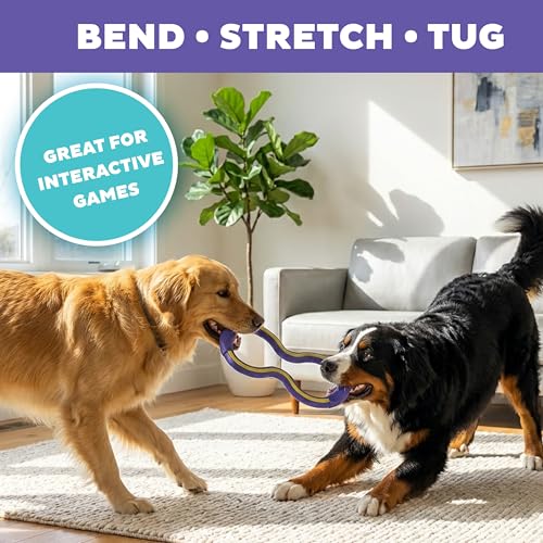 Outward Hound FlyFetch Tug Dog Toy, Durable Rubber, Fetch & Tug-o-War, All Breeds, 10.9" - color: Tug Purple