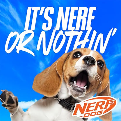Nerf Dog Large Nylon Launching Duck/Blue/Green - color: Blue/Green