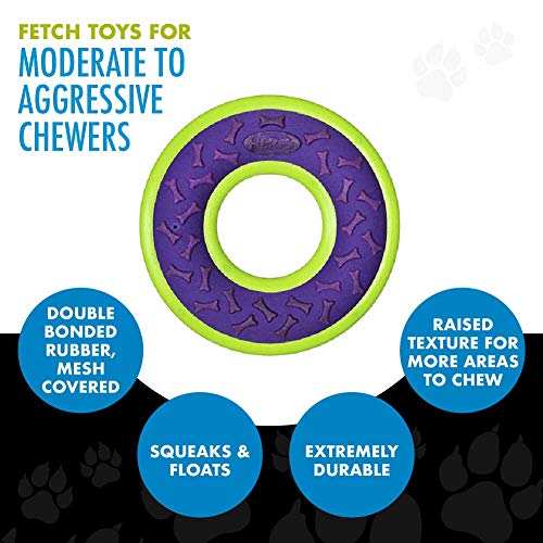 Hero Outer Armor, Fetch Ring Dog Toy, Floats & Squeaks, Purple - style: Ring - Purple