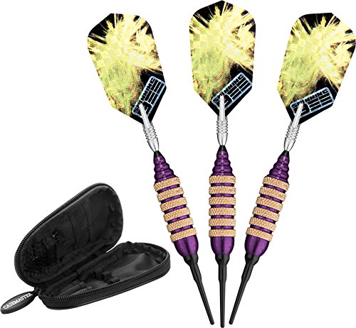 Viper Spinning Bee Soft Tip Darts with Casemaster Storage/Travel Case, 16 Grams - color: Purple