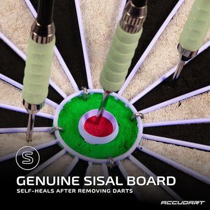 Accudart Nighthawk 2‑in‑1 LED & Blacklight Bristle Dartboard Surround Set – Official 18” Sisal Board, 360° Lighting with Dimmer, Glow‑in‑the‑Dark Steel Tip Darts Included