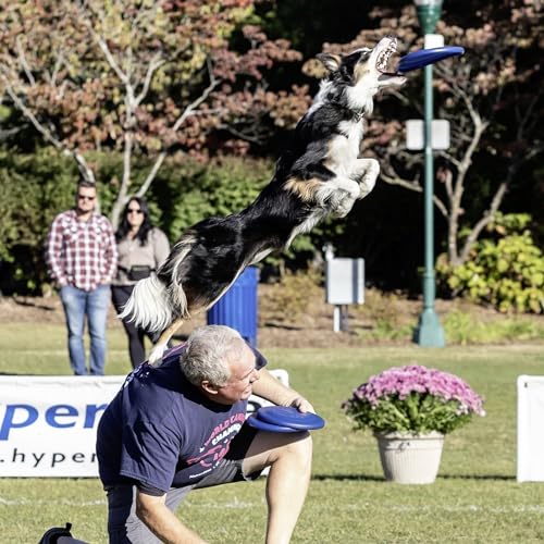 Hyperflite K-10 Jawz Puncture Resistant Dog Flying Disc, Medium-Large | Puncture Resistant, Competition Approved | 8.75-inch, 150g | Medium & Large Dogs | Blue - color: Blue