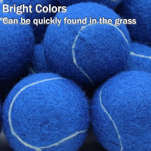 SHYUJAJIE Tennis Balls, 90 Pack Training Tennis Balls Bulk, High Elasticity Practice Tennis for Beginner, Exercise Playing Balls for Pet Dog - color: Dark Blue