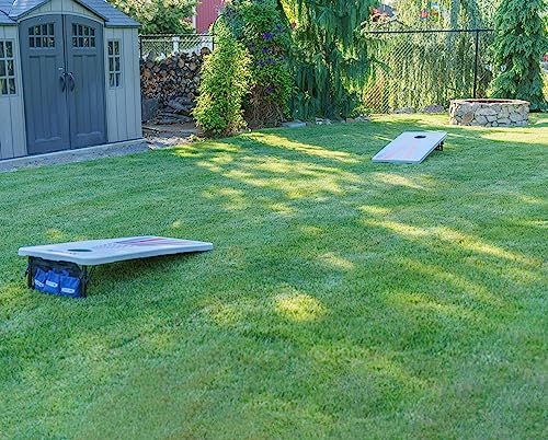 Lifetime Portable Cornhole Toss Game Set with 8 Bean Bags and Storage Pouches Attached to Boards