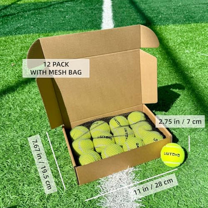 12 Pack Tennis Balls - Come with Mesh Bag for Easy Transport, Good for Beginner Training Tennis Balls Bulk, Practice Balls for Beginner, Pet Dog Playing Balls