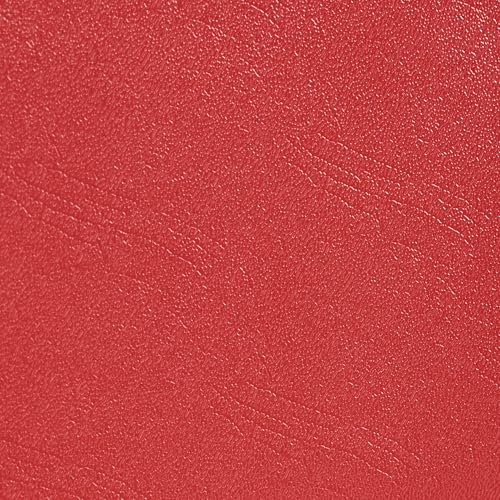 BarberPub Waiting Room Chairs, Heavy Duty Office Guest Reception Bench, Faux Leather Upholstered Lobby Chairs for Salon, Conference Room 7008 (Red) - color: Red