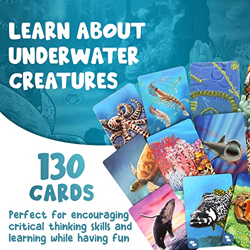 Genius Games Ecosystem: Coral Reef - A Mensa Recommended Family Card Game About Aquatic Animals, Their Habitats & Food Chain | A Light Educational Marine Biology Board Game for Kids and Families - style: Ecosystem Coral Reef
