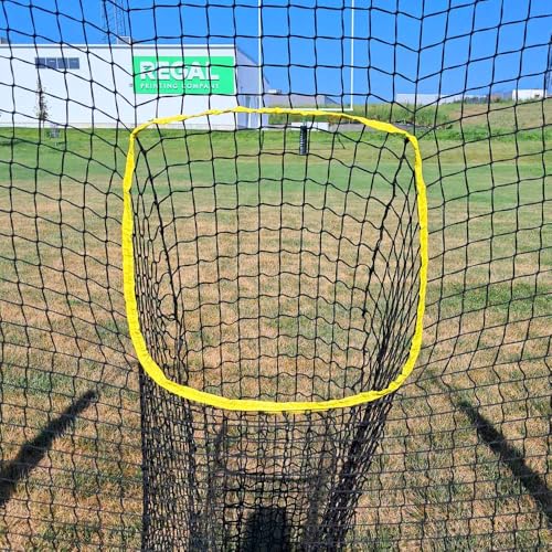 Disc Store Disc Golf Training Net - 7x7 Disc Golf Net for Throwing Practice - Sturdy and Portable Practice Net for Backyard Indoor and Outdoor Games - Includes Convenient Carrying and Storage Bag