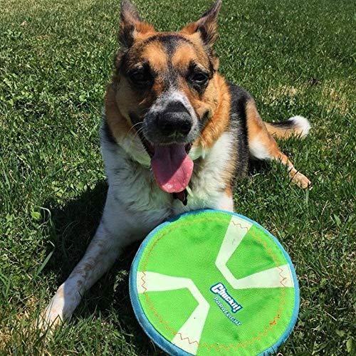 Chuckit! Max Glow Paraflight Flying Disc Dog Toy, Small (6.75"), Green And White - color: Green/Max Glow, size: Small