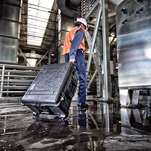 Pelican 1650 Case No Foam (Black) - color: Black, style: No Foam