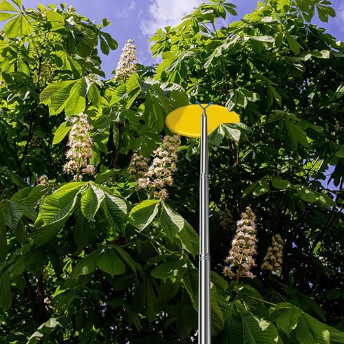 Disc Golf Retriever Pole with 3 Hooks Telescopic Disc Golf Tool Golf Discs Retriever for Water Outdoor Sports 10FT - size: 10FT aluminum